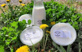 Meclovská zemědělská a.s. | Prodej mléka